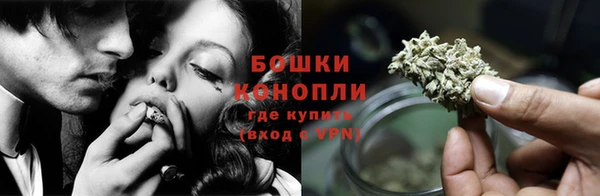 эйфоретик Бородино