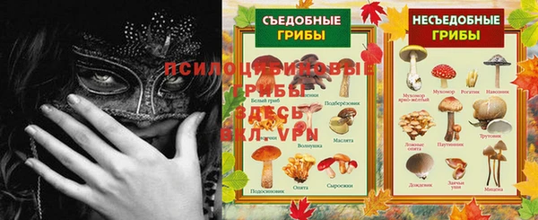 эйфоретик Бородино