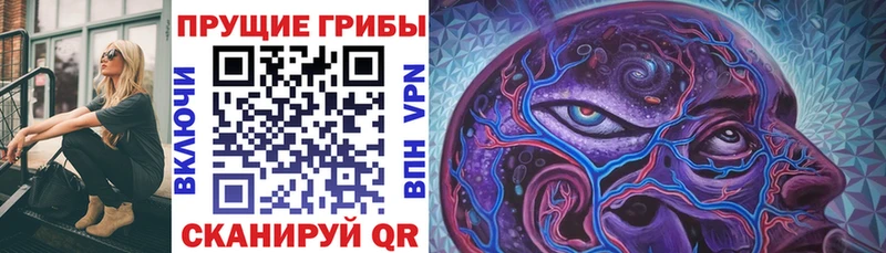 Галлюциногенные грибы Cubensis  Горнозаводск 